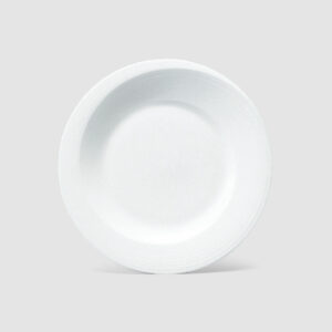 23CM PLATE