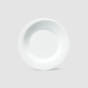 21CM PLATE
