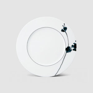 21CM FLAT RIM PLATE