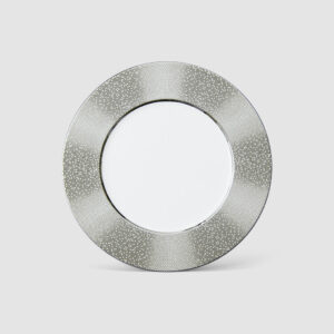 21CM FLAT RIM PLATE