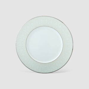 21CM PLATE