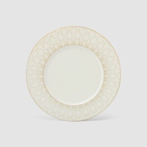 21CM PLATE