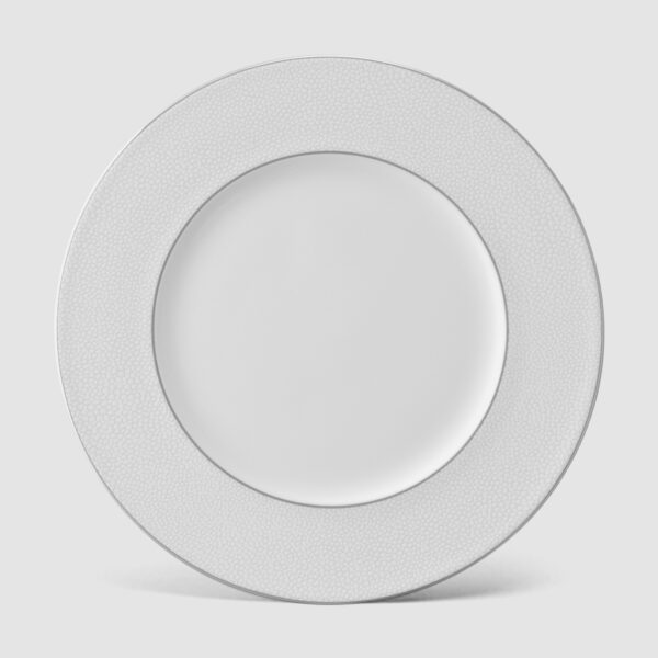 27CM FLAT RIM PLATE