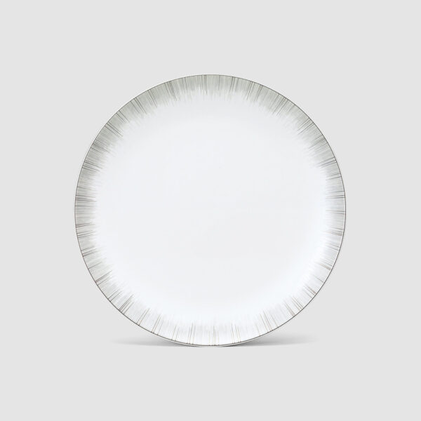 21cm plate