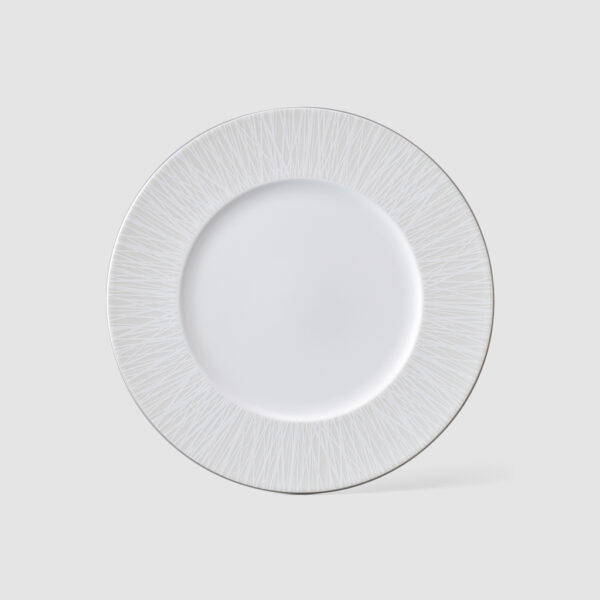 21cm FLAT RIM PLATE